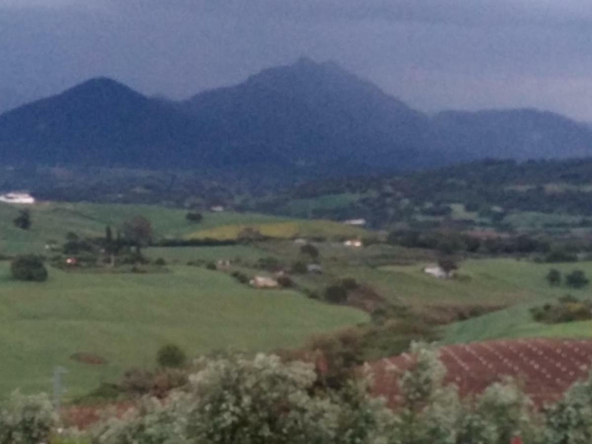 Los Tres Picos Prado Del Rey Esterno foto
